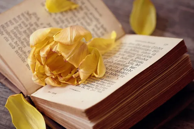 The Book on Writing: The Ultimate Guide to Writing Well