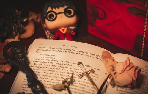 snape-approves-8173_1.gif