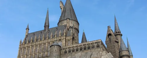 But-Im-The-Chosen-One-Harry-Potter-GIf.gif